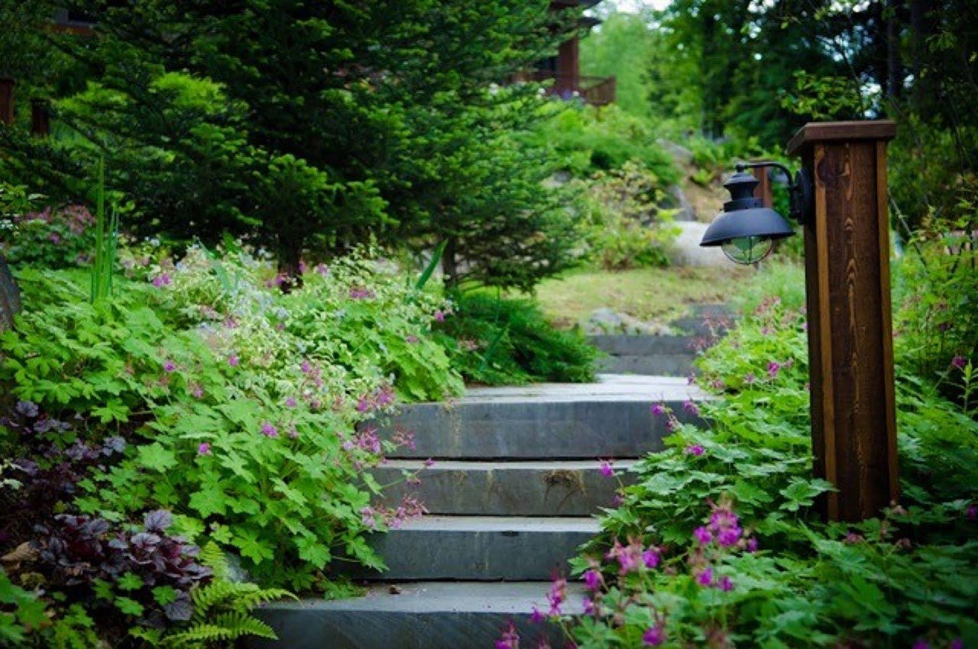 The Fern Lodge Chestertown Exterior photo